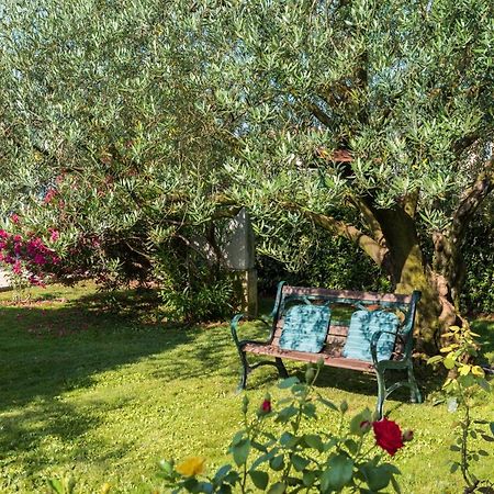 B&B Carmela Umag Exterior photo